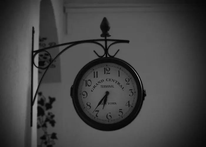 بيت شباب Przy Zoo