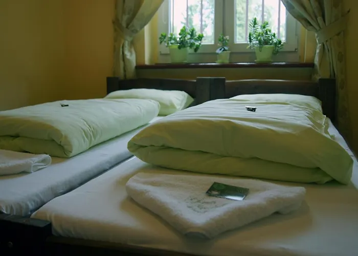 بيت شباب Przy Zoo *